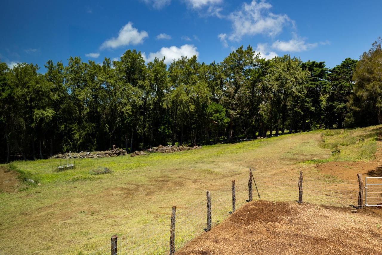 A Cozy Cabin In The Country Hawi Exterior foto